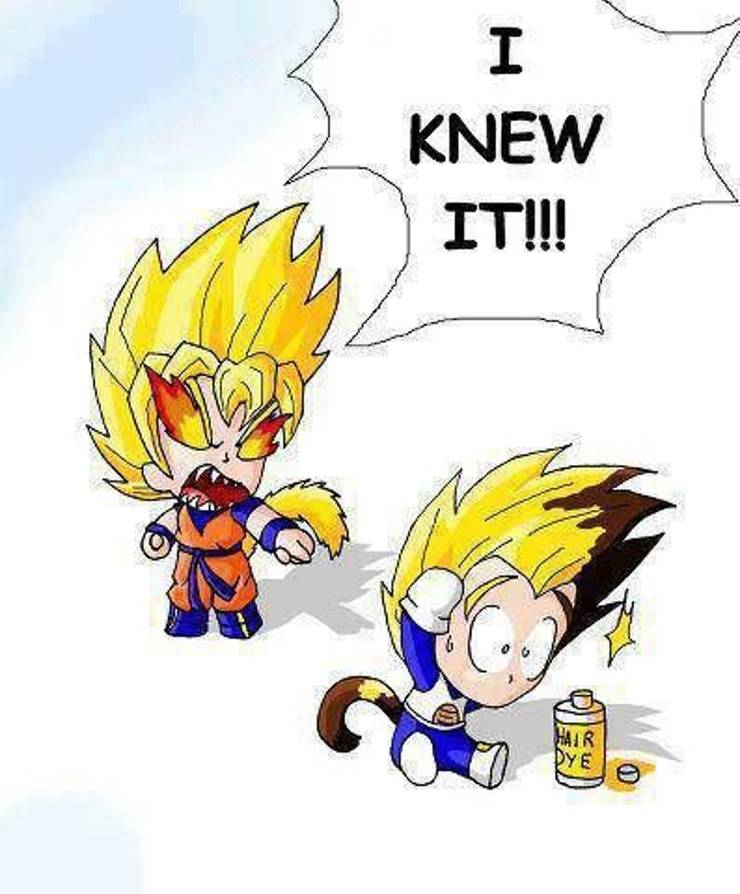Dragon Ball 16 Hilarious Goku Vs Vegeta Memes Dragon Ball 16 Hilarious Goku Vs Vegeta Memes